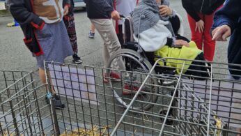 marche aux veaux 2