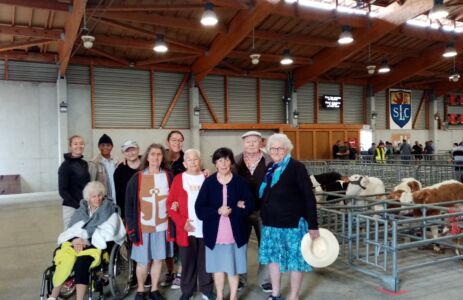 marche aux veaux 3