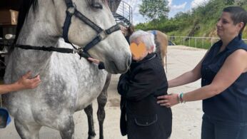 mediation cheval 1
