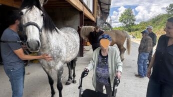 mediation cheval 4