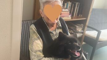mediation chien 2