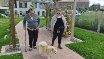mediation chien 4