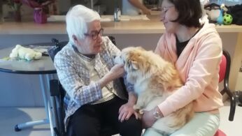 mediation chien 5