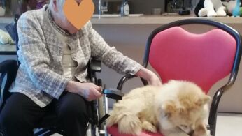 mediation chien 6